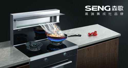 開放式廚房用什么油煙機效果好 名列前茅的森歌集成灶助力呼吸健康
