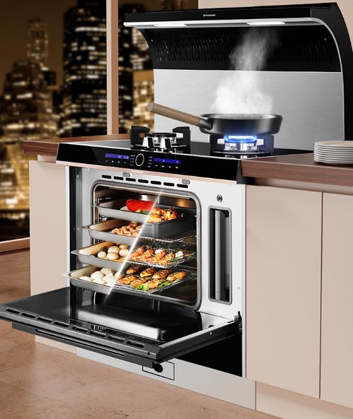 烹飪小白也能玩轉(zhuǎn)廚房 火星人e5bc01大師級技術(shù)